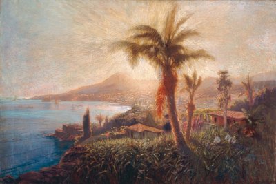 Funchal, Madeira by Hans Bohrdt